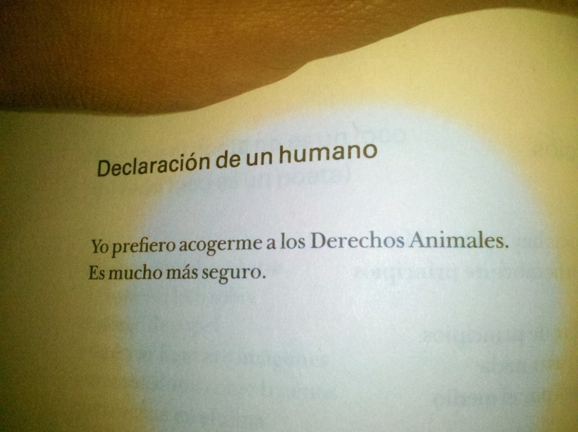 2014-02-26_19-33-22_580