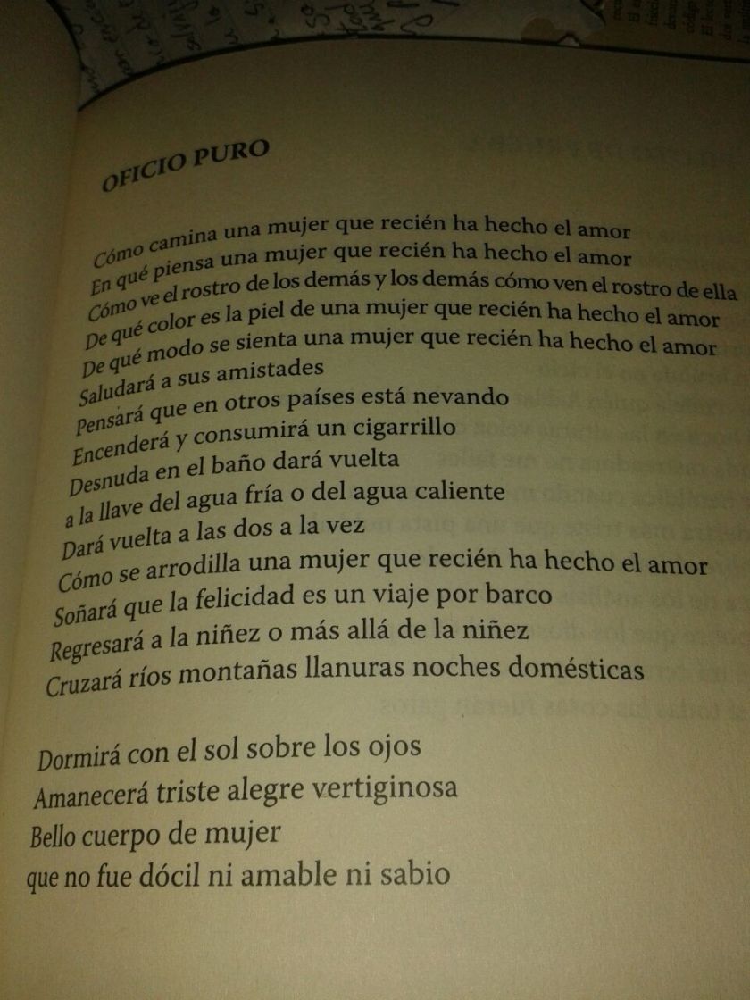 IMG-20140723-WA0000 (1)