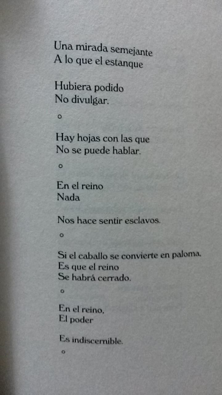 11535302_10153907160350130_11965202_o